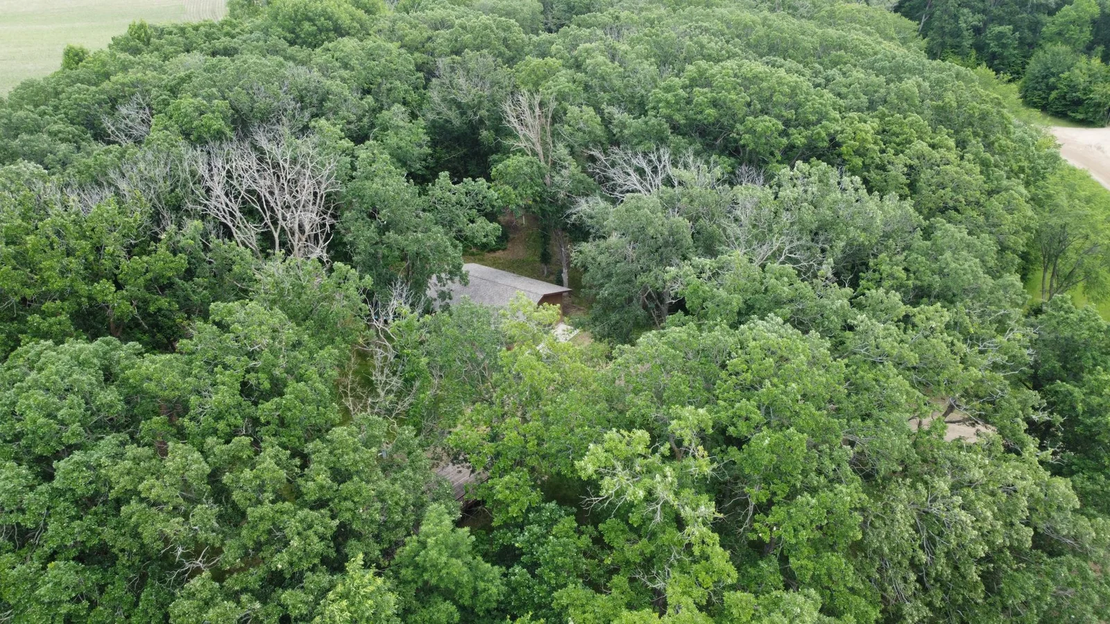DJI_0508.JPG