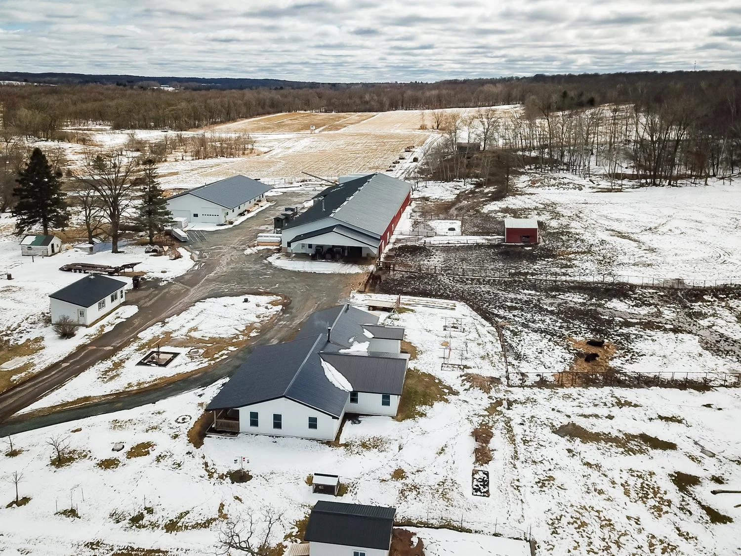 DJI_0317.jpg