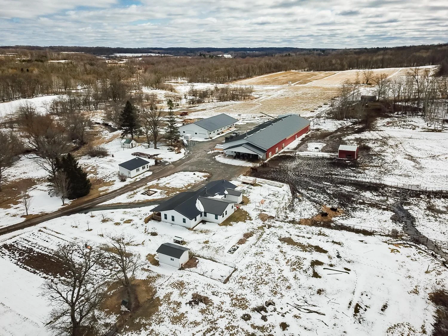 DJI_0321.jpg