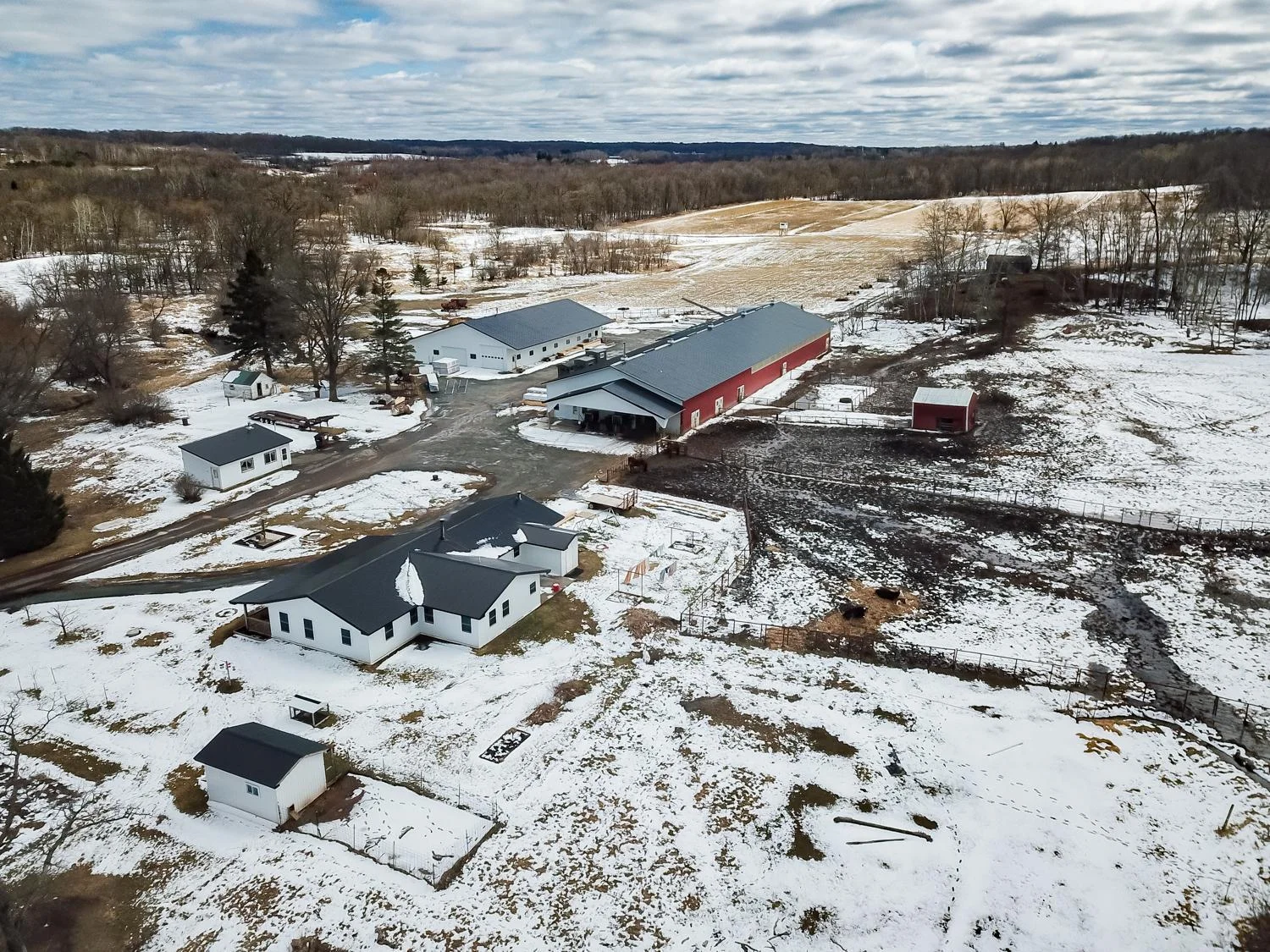 DJI_0319.jpg