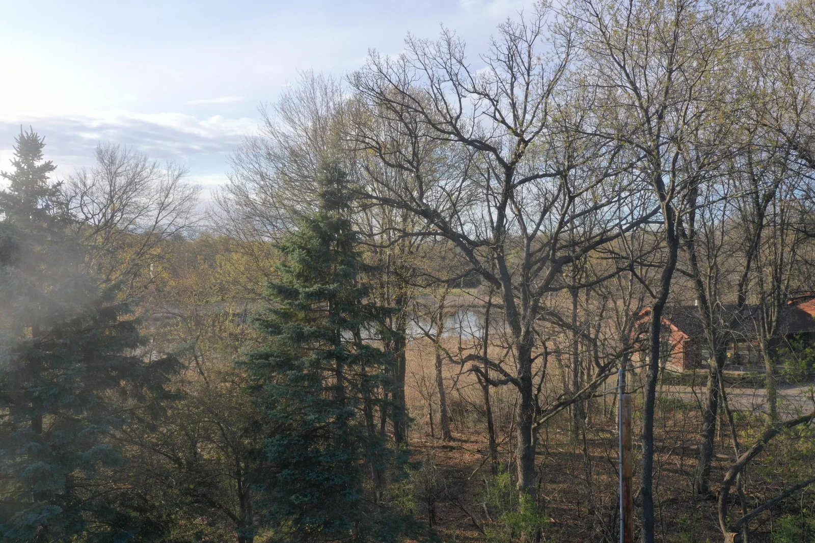 view looking out towards pond from front of lot