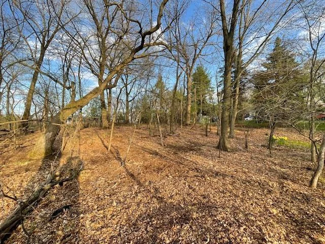 view from back of lot looking towards road