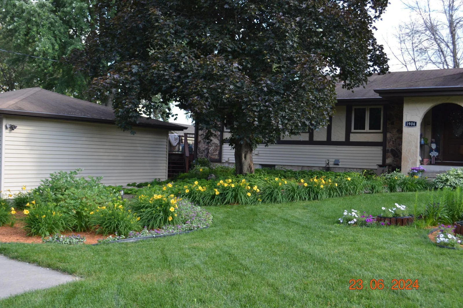 Perennial gardens adding a pop of color through the summer months