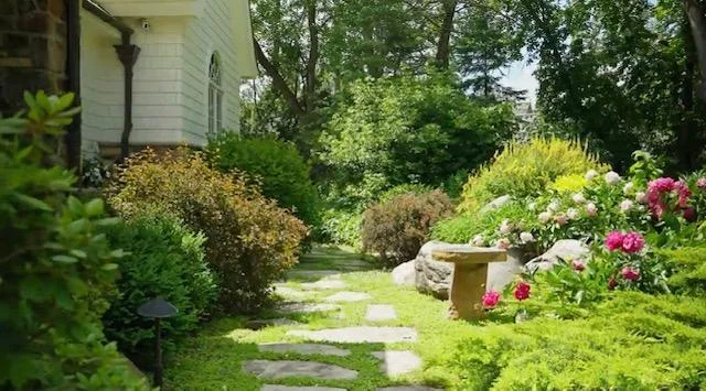Thumbnail photo 4