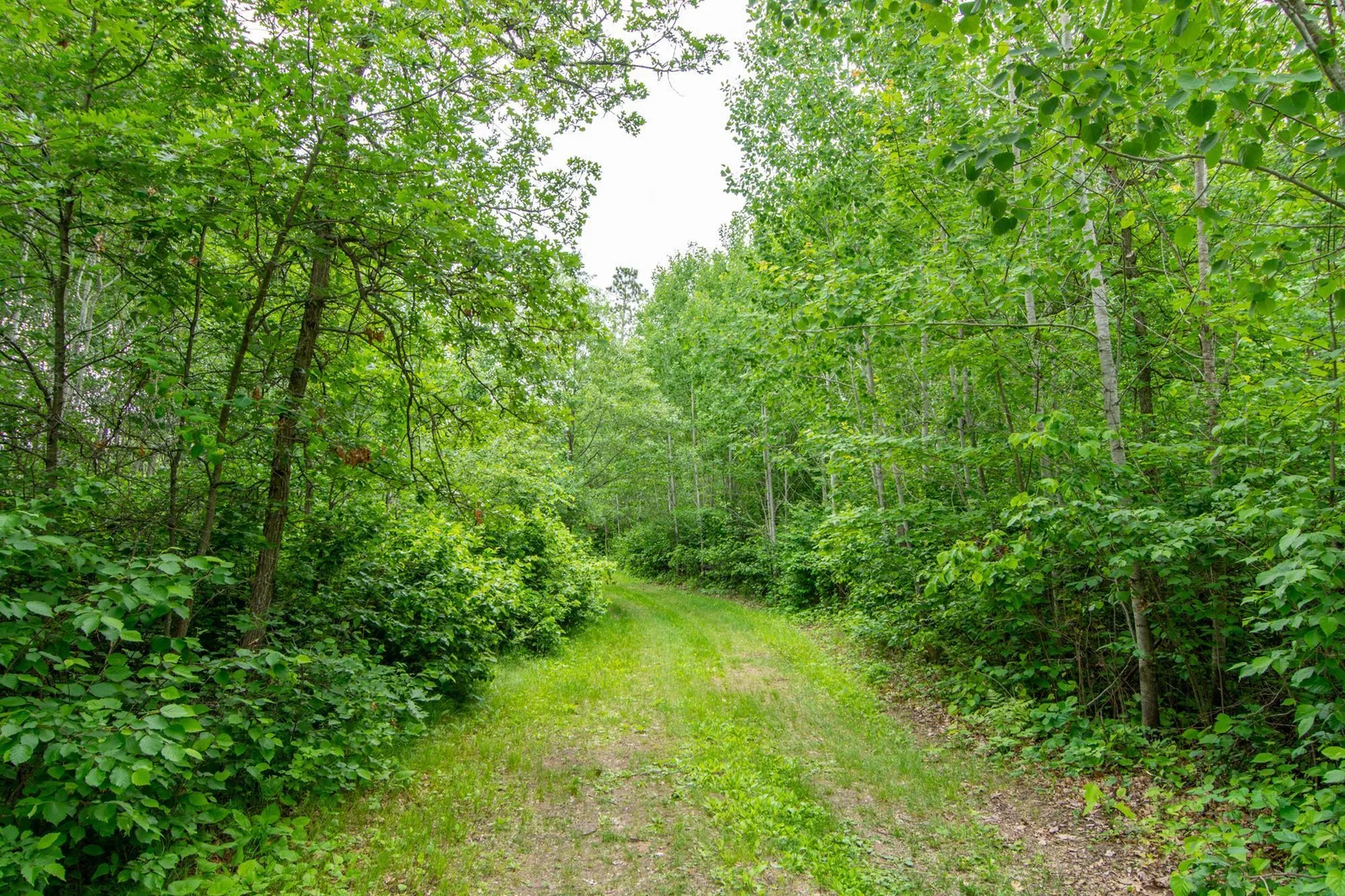 DSC_0301.jpg
