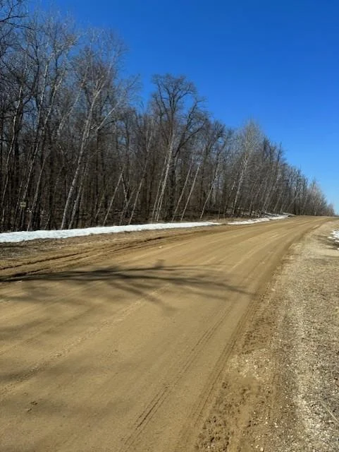 Pickerel Lake - Road - 4-9-25.jpg