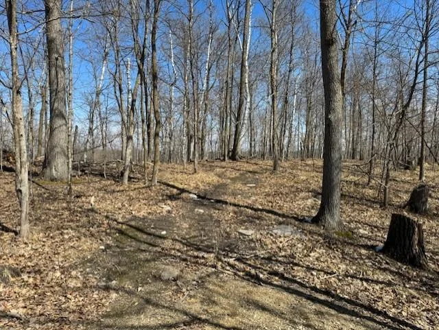 Pickerel Lake - Wooded Lot - 4-9-25.jpg