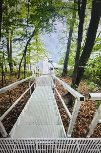 Pickerel Lake - Steps - 4-9-25.jpg