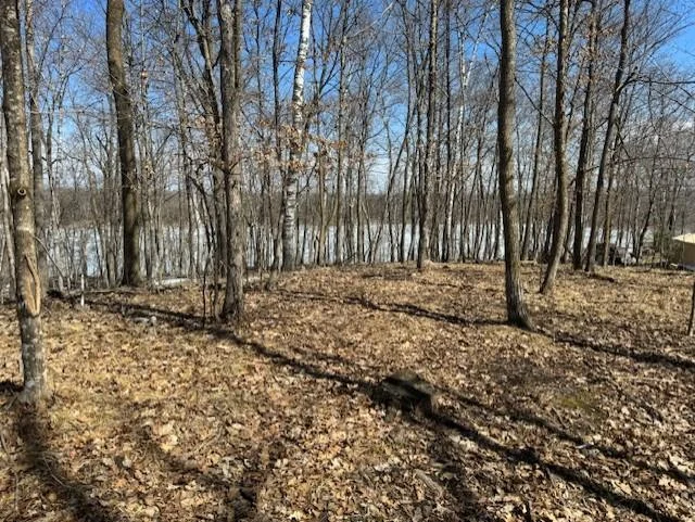 Pickerel Lake - Wooded Lot 2 - 4-9-25.jpg