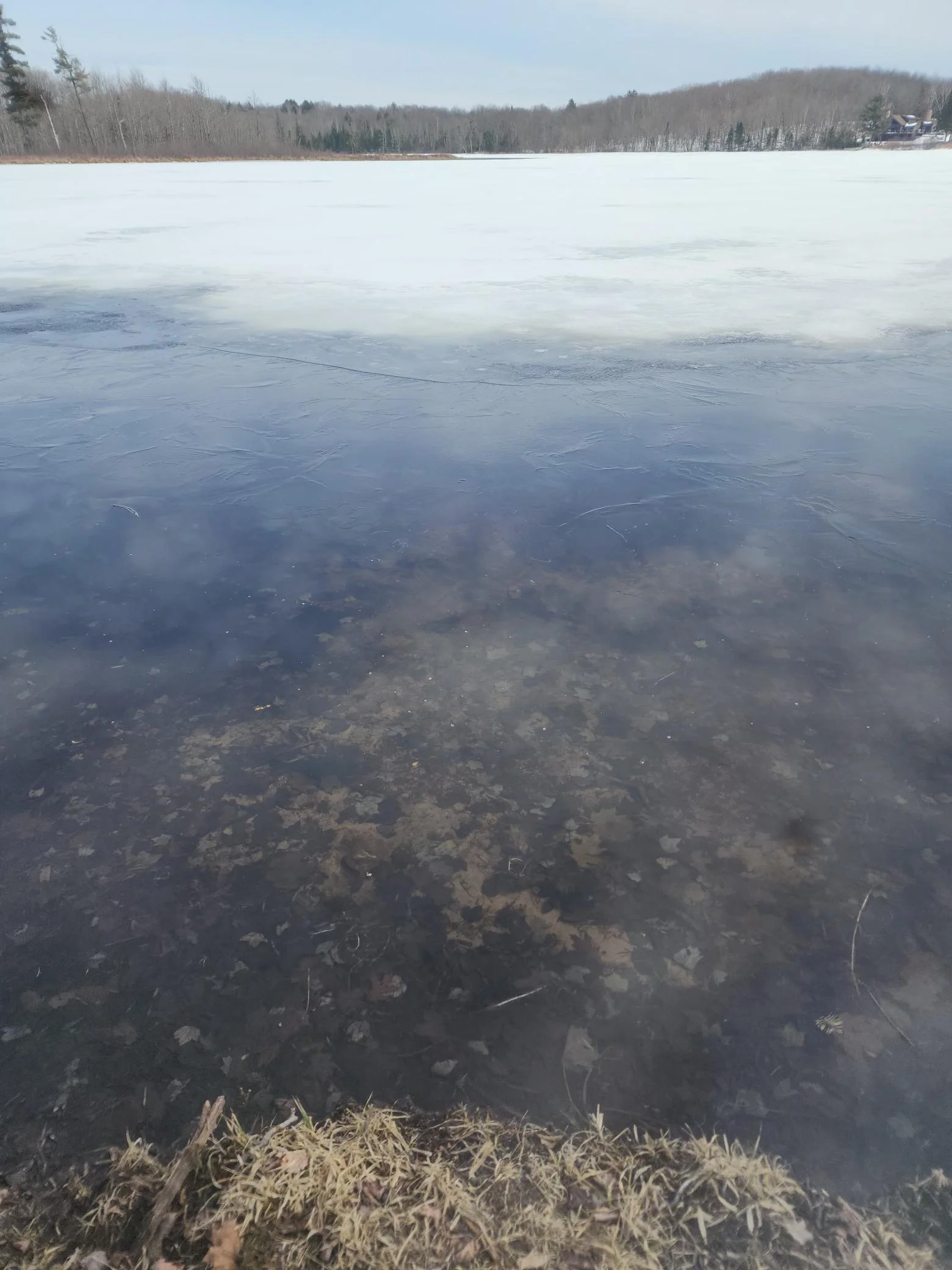Thumbnail photo 3