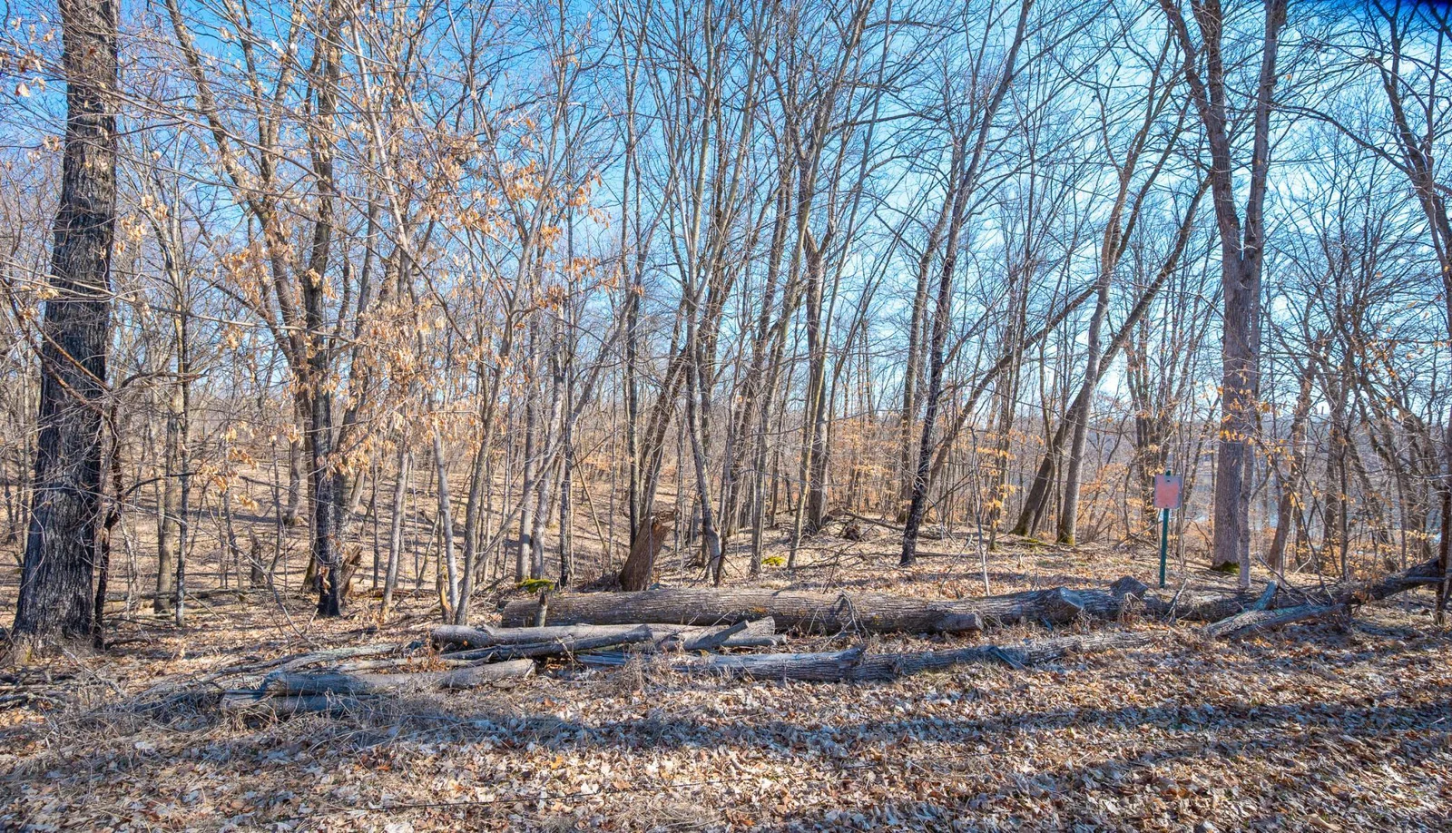 Picture perfect 2.5 acre lot!