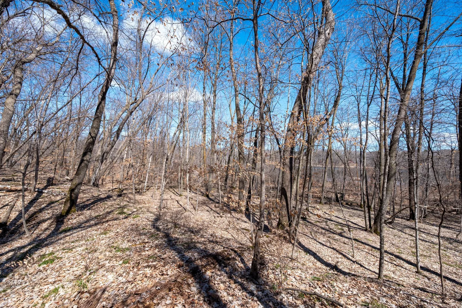 Build your new home or cabin on this pretty lot!