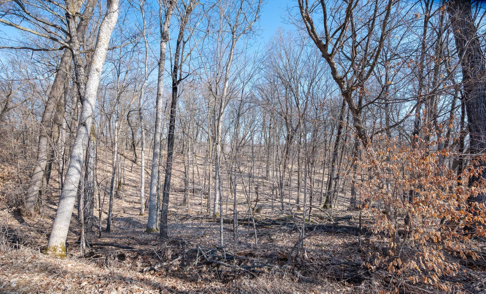 Wooded 2.5 acre lot.