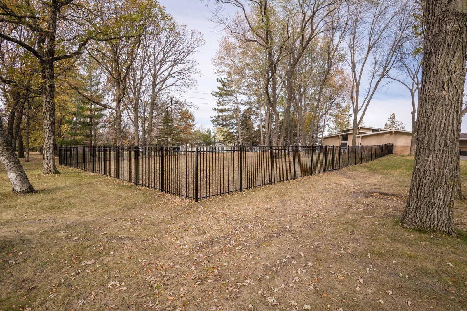 Partial fenced yard