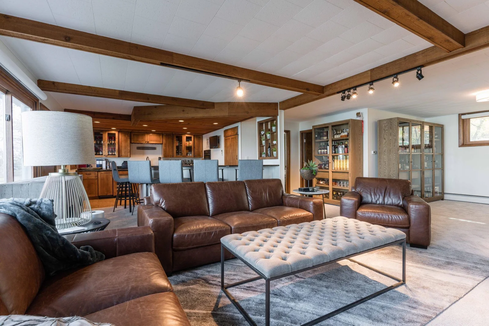 Lower level family room