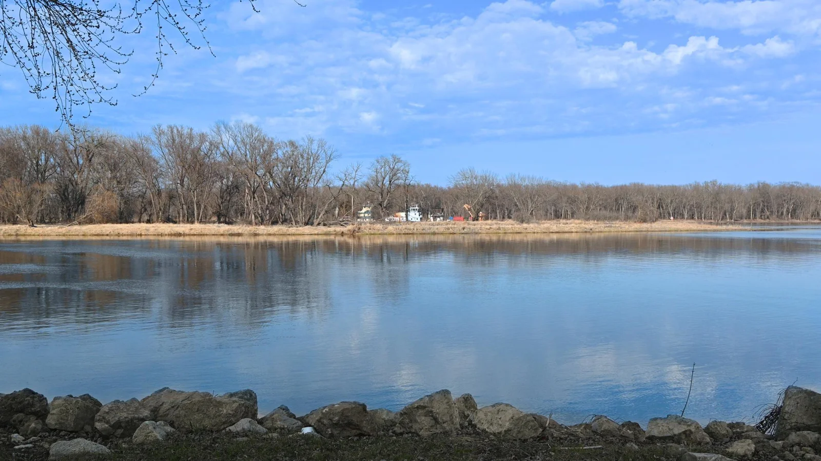 DSC_0170.jpg