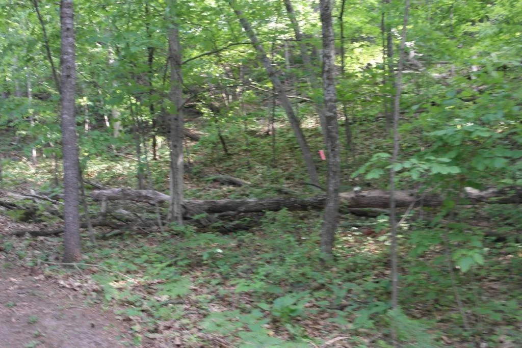 Arkansaw Riverfront 040.JPG