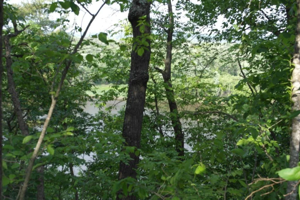 Arkansaw Riverfront 050.JPG