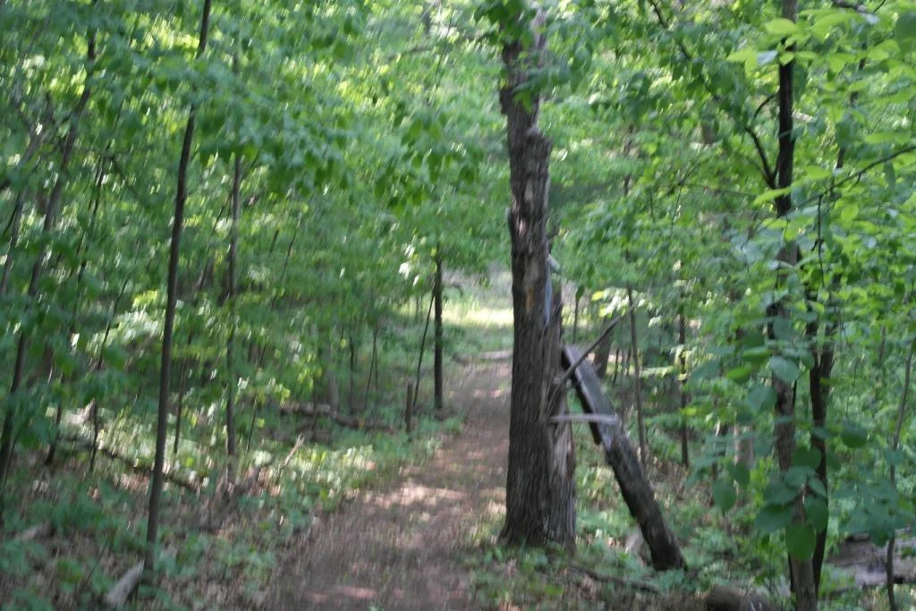 Arkansaw Riverfront 046.JPG