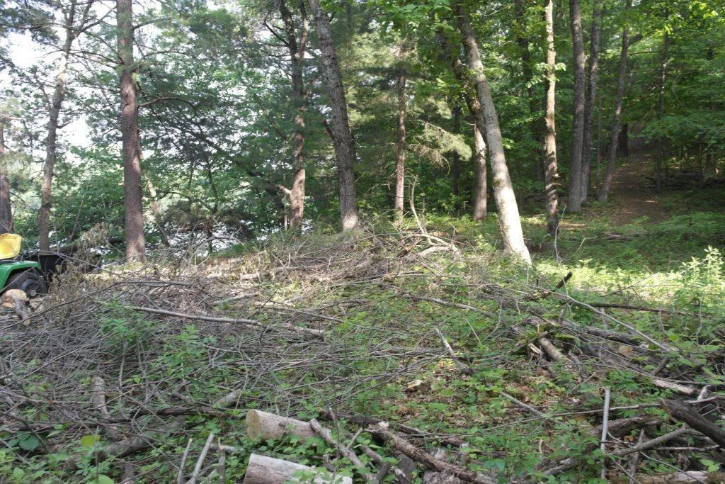 Arkansaw Riverfront 017.JPG