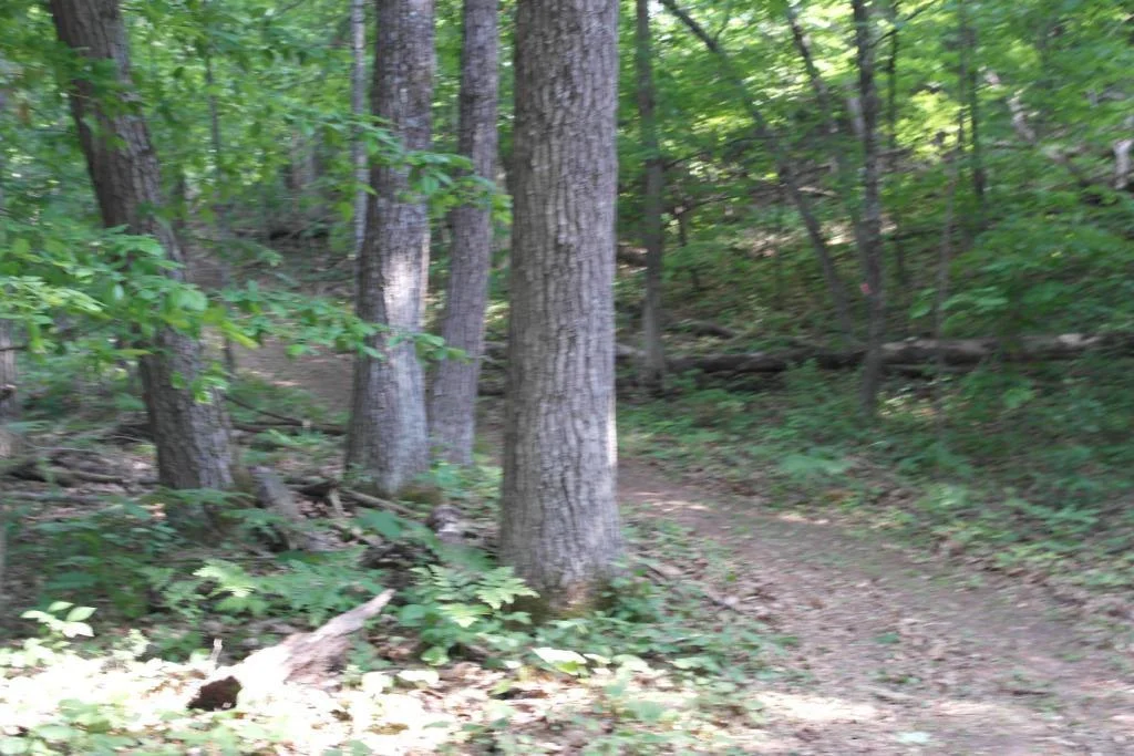 Arkansaw Riverfront 038.JPG