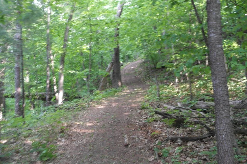 Arkansaw Riverfront 041.JPG