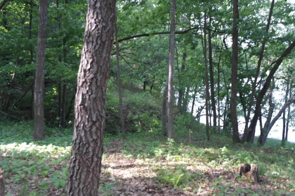 Arkansaw Riverfront 033.JPG