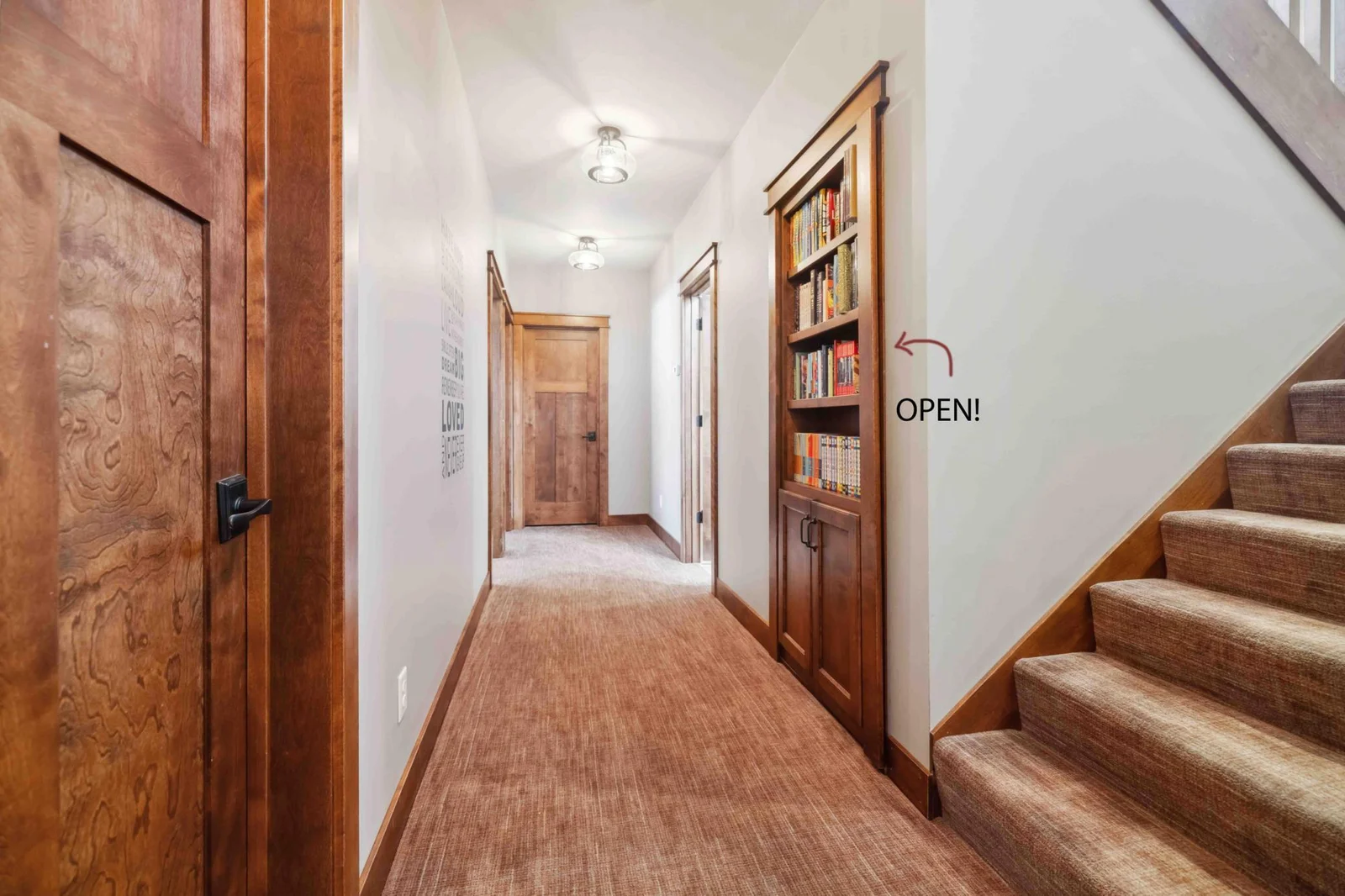 Bookcase Closet-Door
