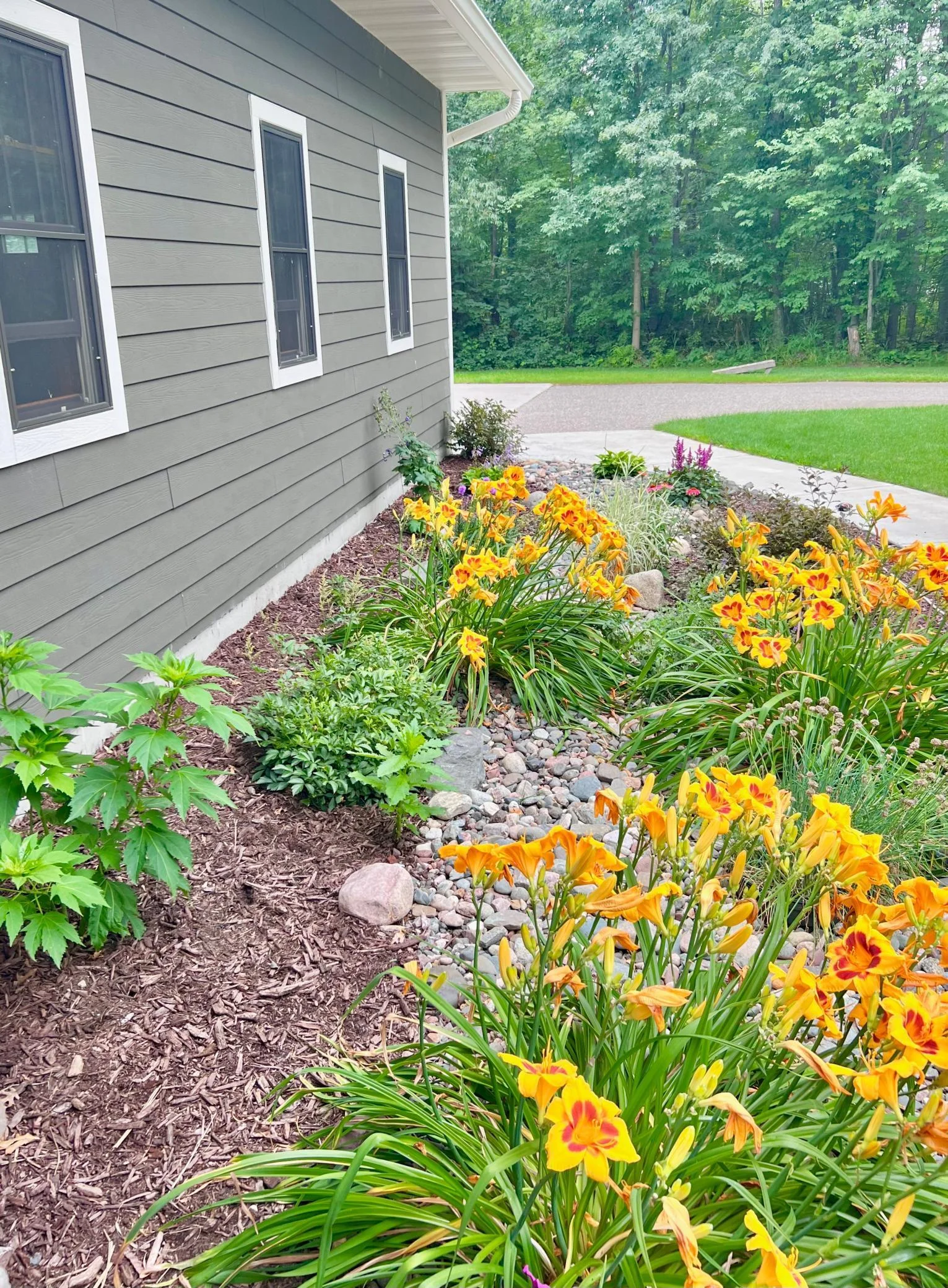 Summer Perennials