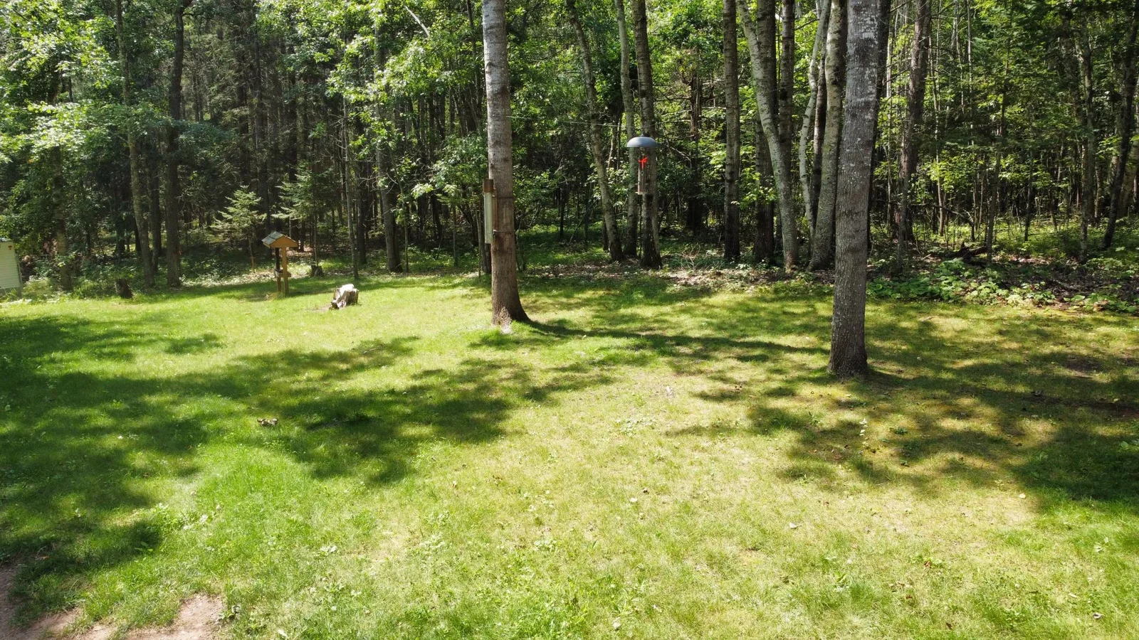 Nice yard for all the wildlife that wanders through!!