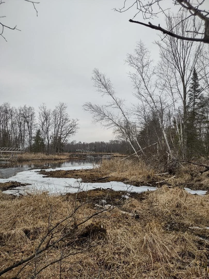 Photo 1 of Blaiszik's Bay