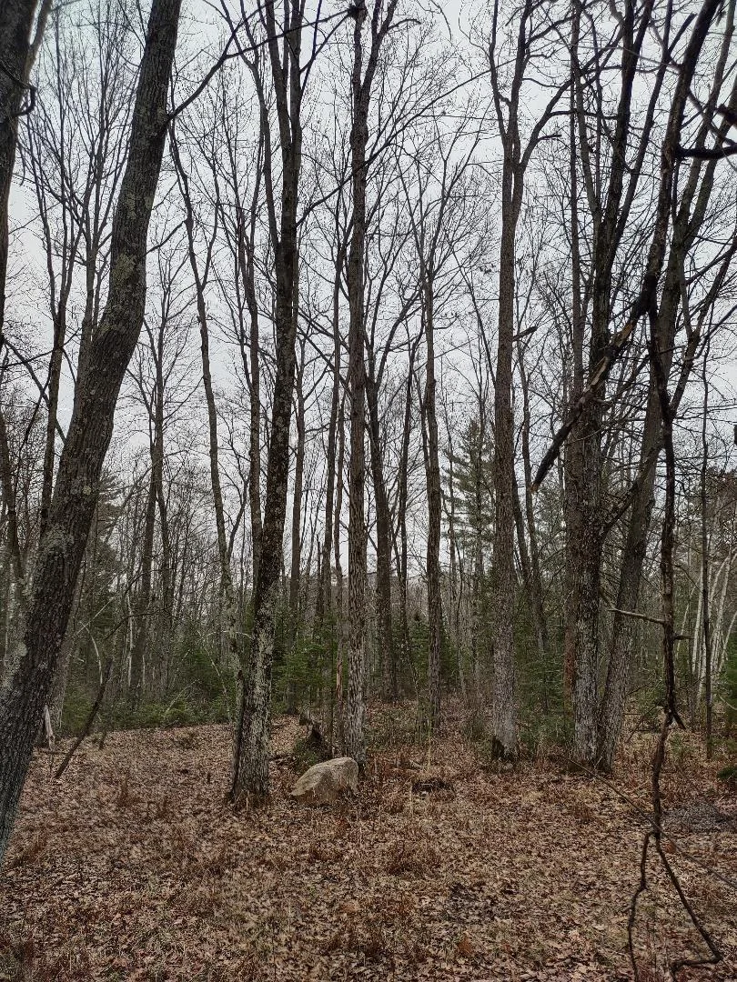 Thumbnail photo 13