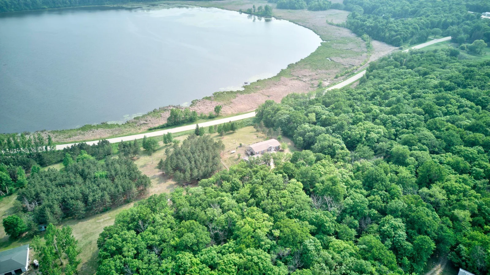 View of shoreline.jpg