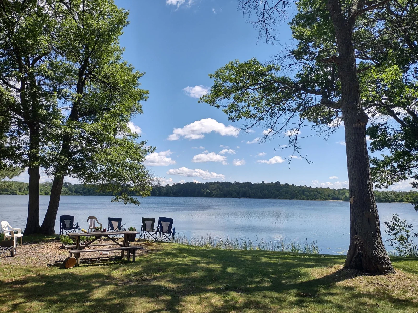 IMG_20240703_121329530_HDR (1).jpg