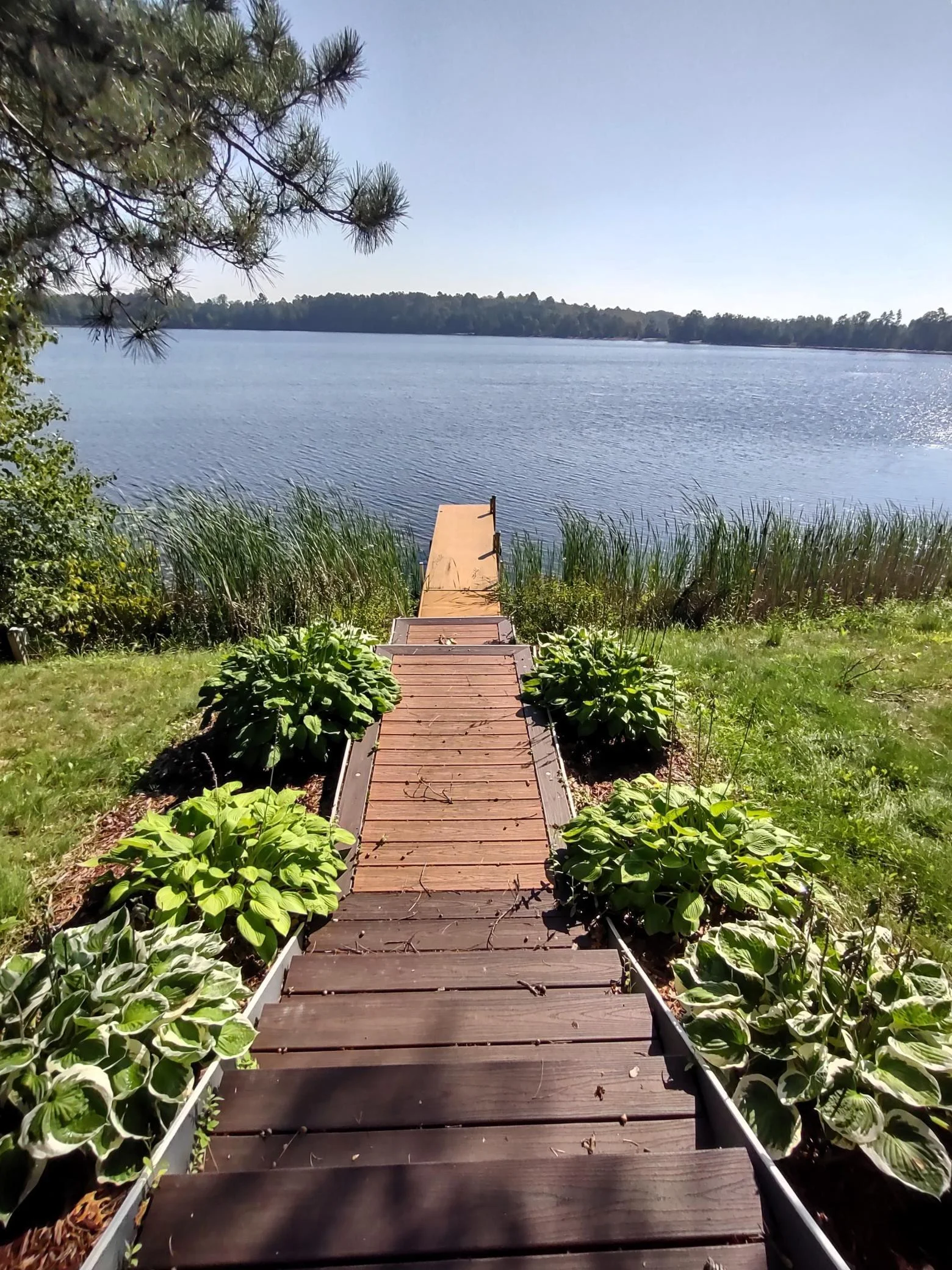 IMG_20240902_105450501_HDR.jpg