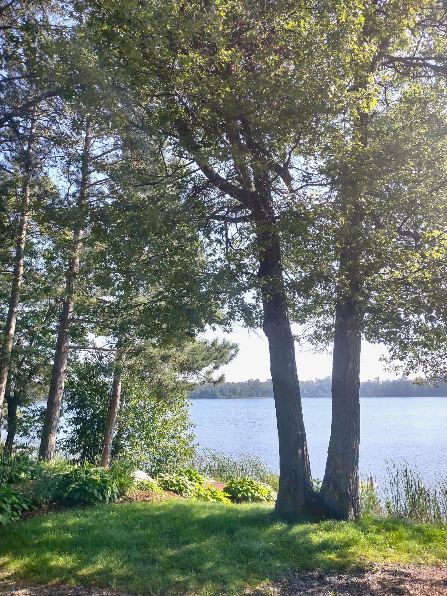 IMG_20240902_102518966_HDR.jpg