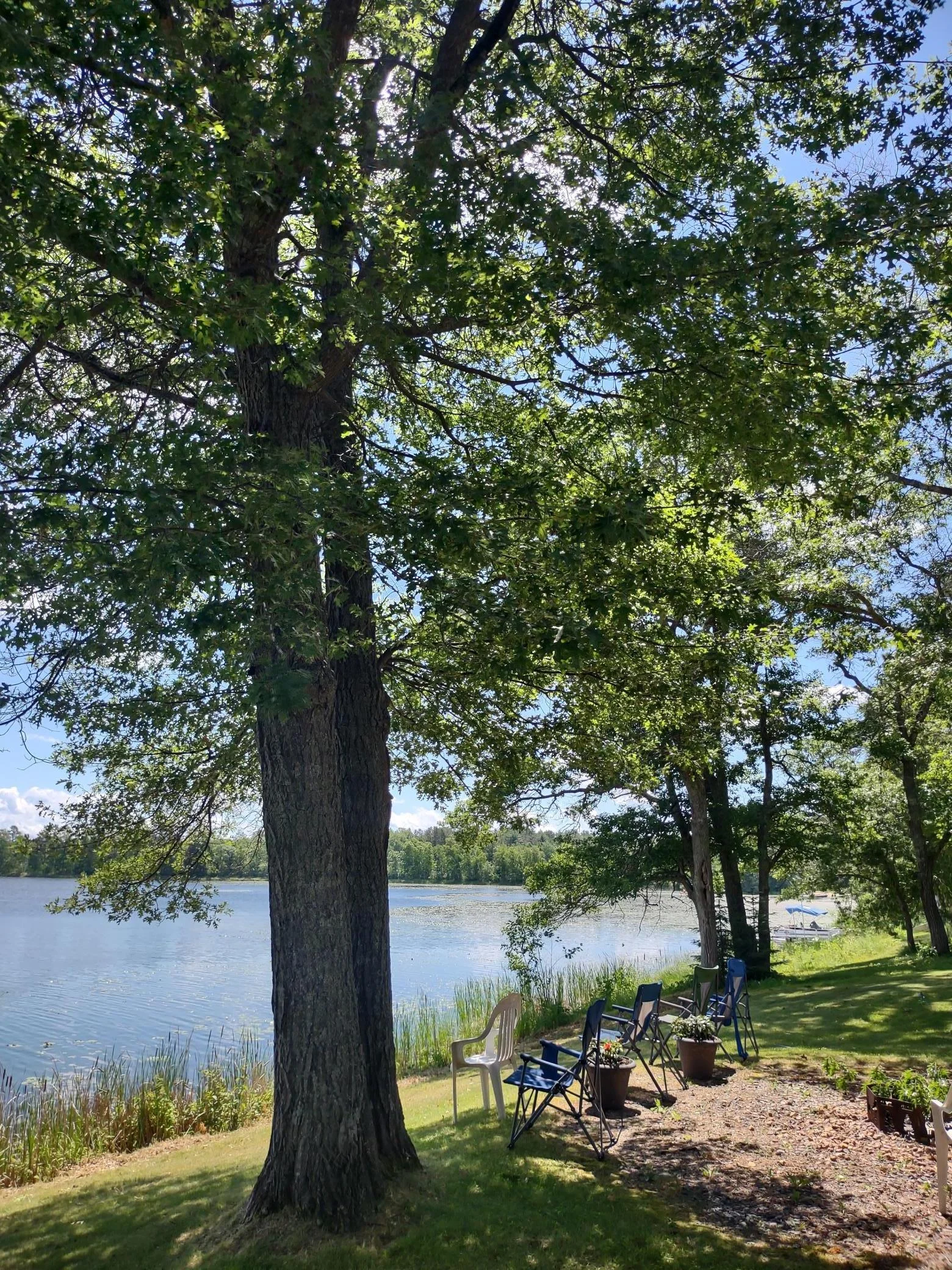 IMG_20240703_122047964_HDR (1).jpg