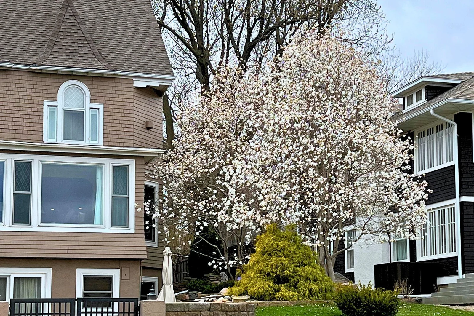 58-web-or-mls-425-lakeview-blvd.png
