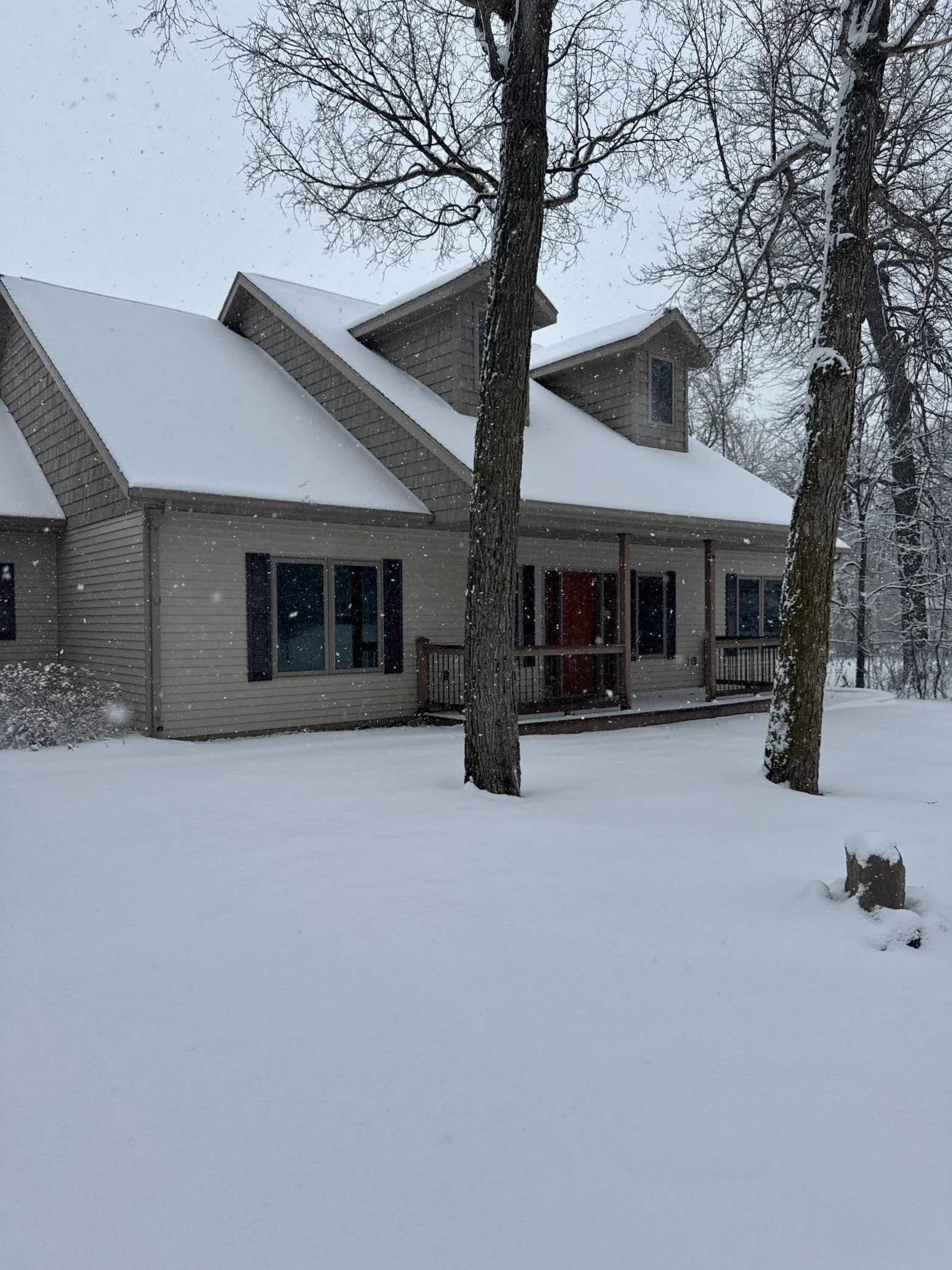 Winter view 1.JPG