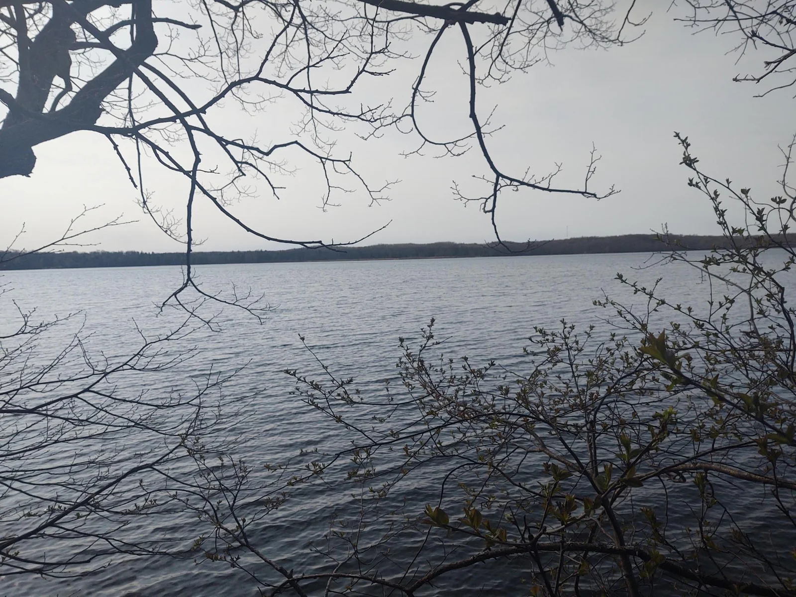 Thumbnail photo 10