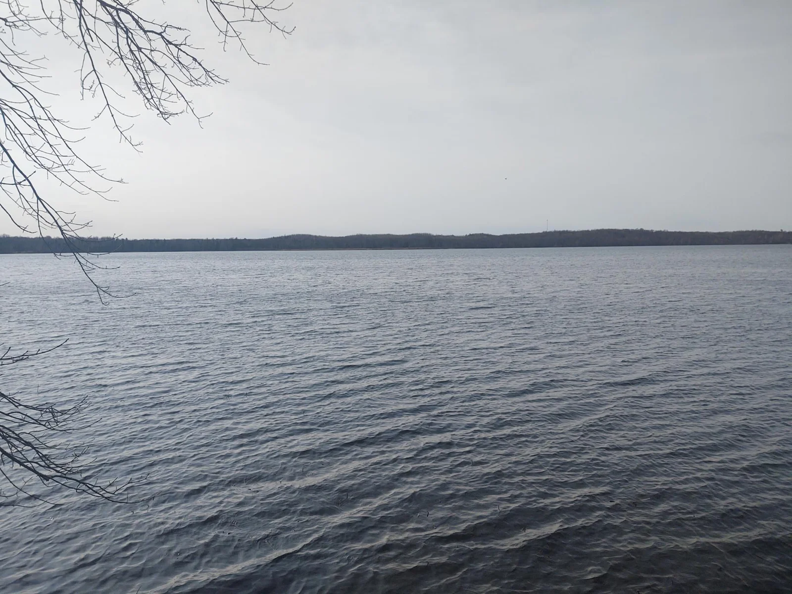 Thumbnail photo 12