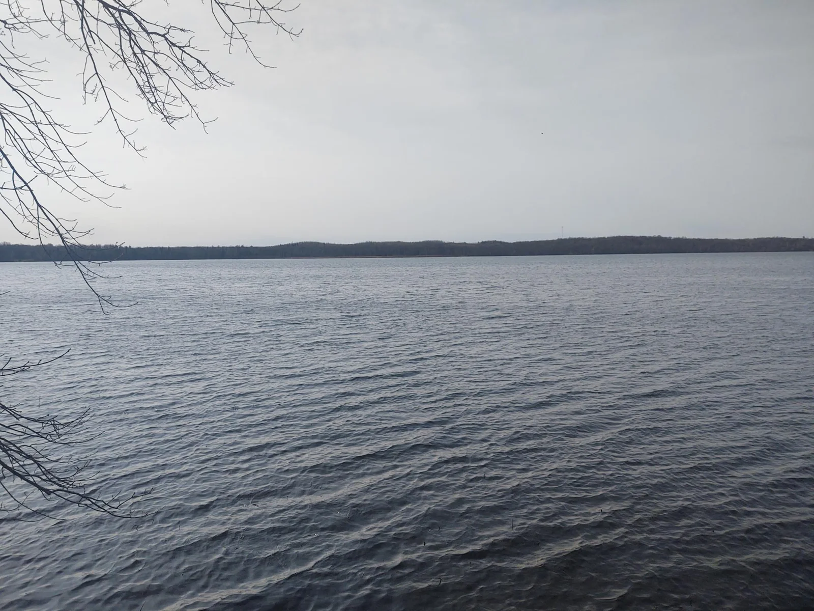 Thumbnail photo 13