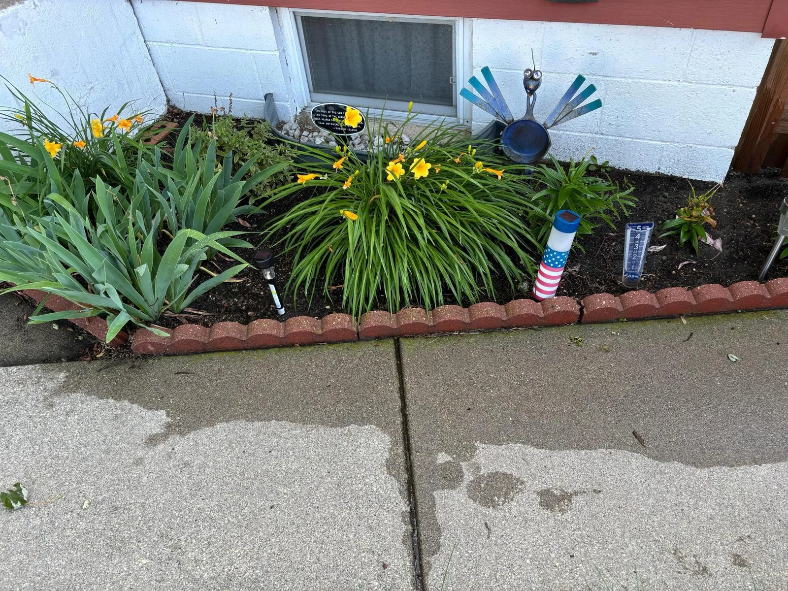 Nice landscaping photos by seller