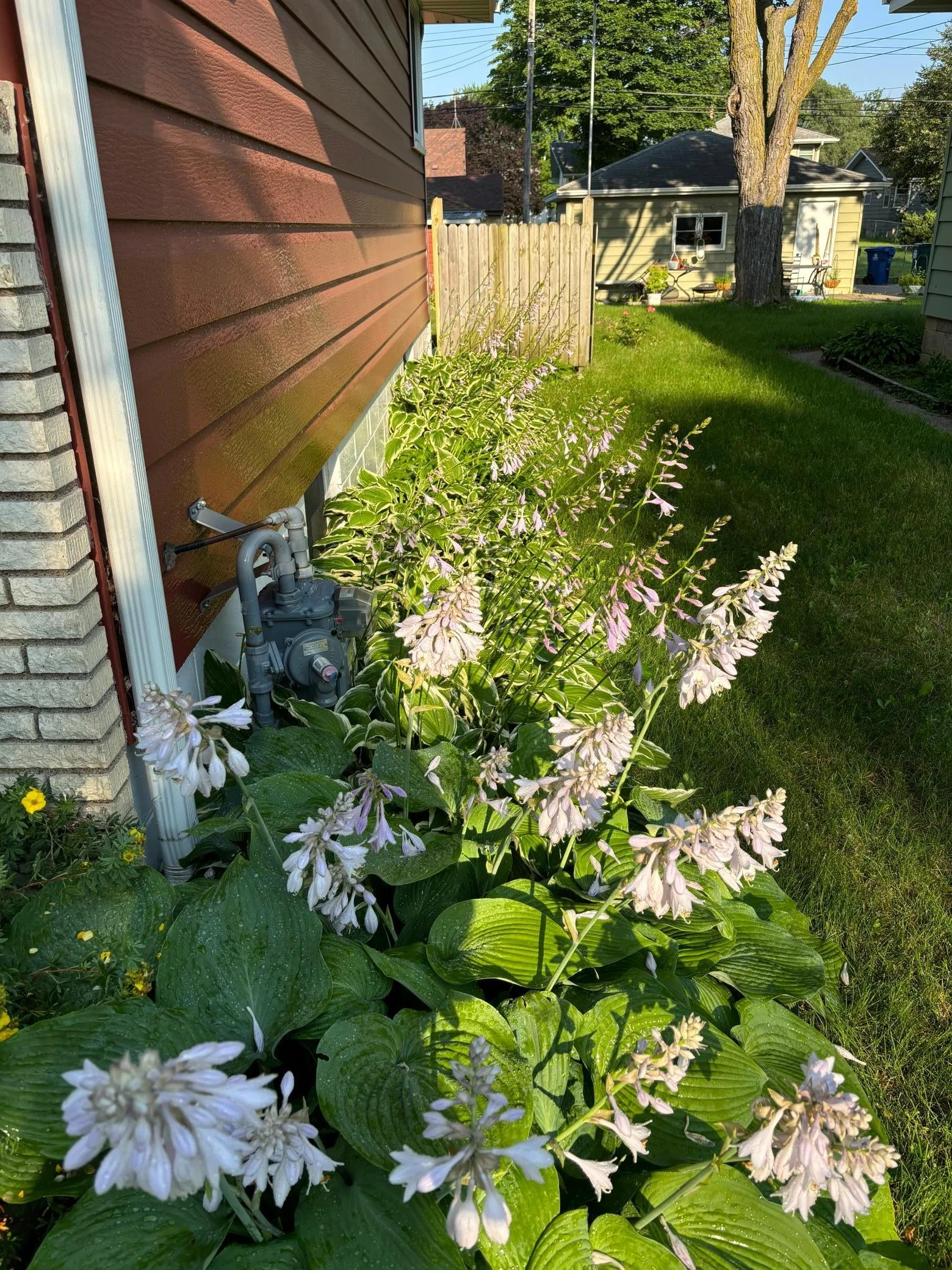 Nice landscaping photos by seller