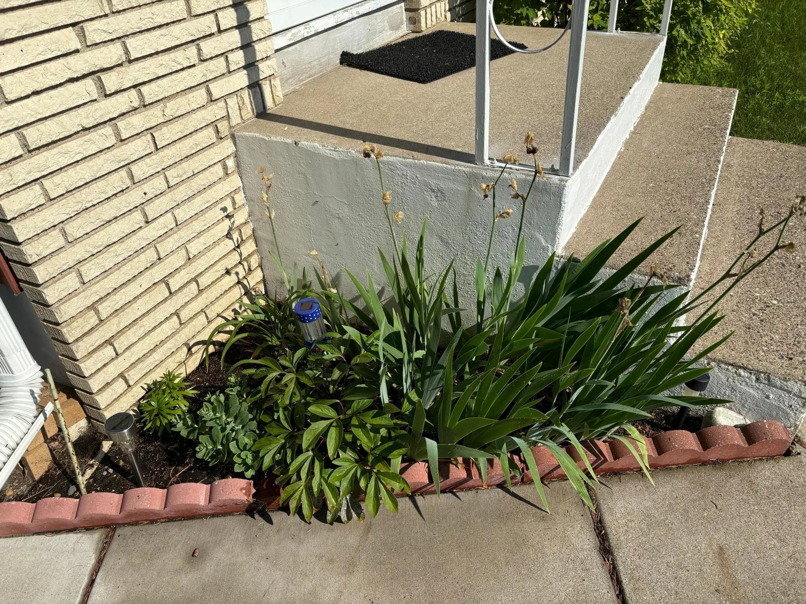 Nice landscaping photos by seller