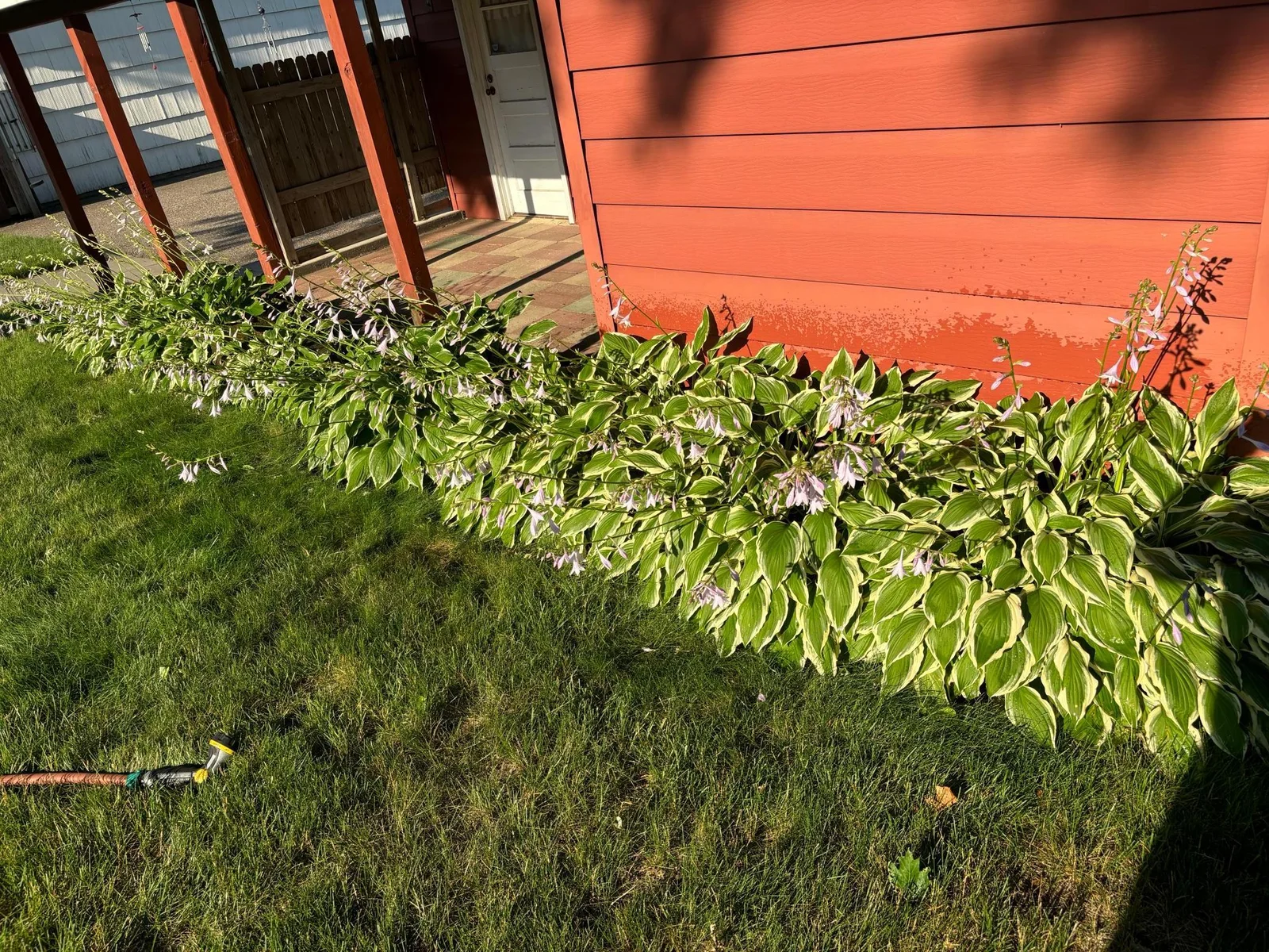 Nice landscaping photos by seller