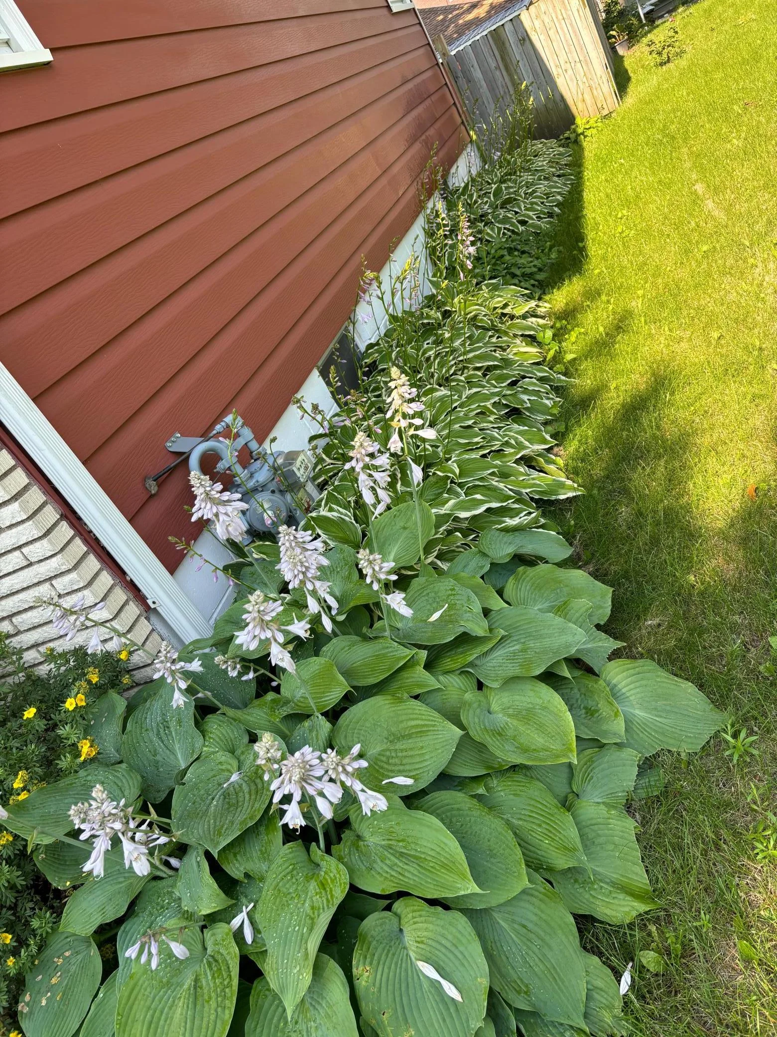 Nice landscaping photos by seller