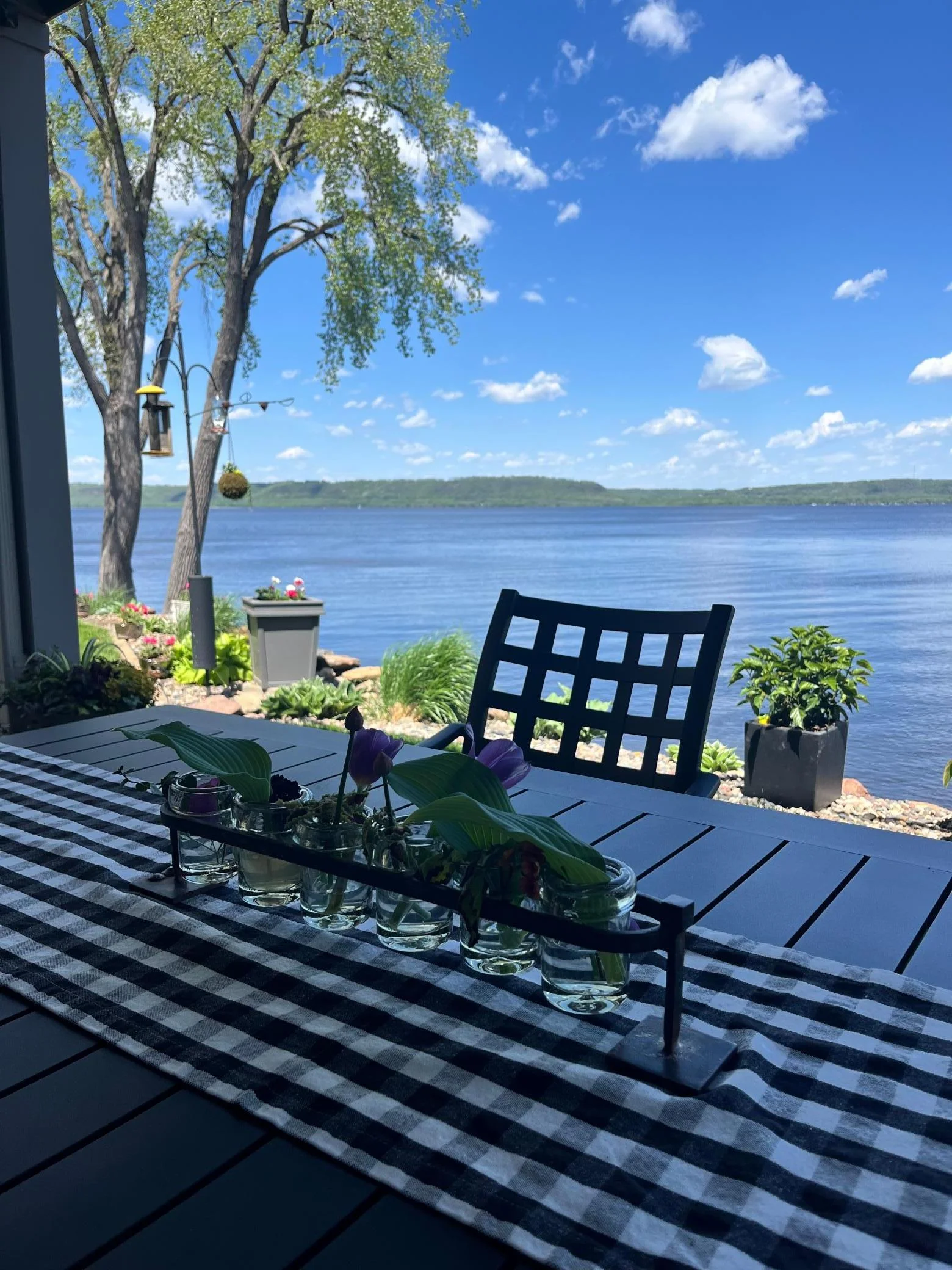 Patio Overlooking Lake Pepin & the Mississippi River