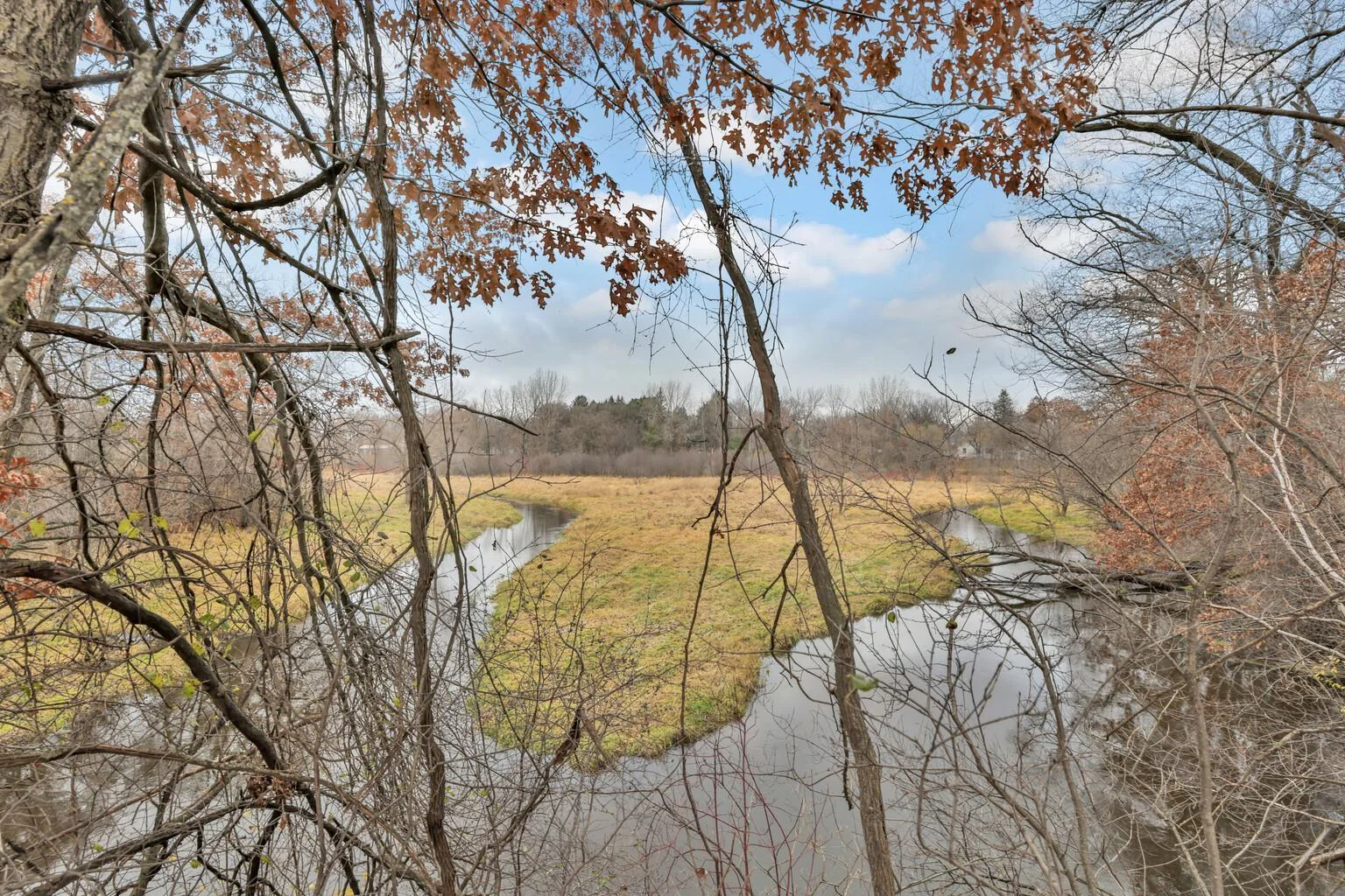 View from the north side of the house facing north.