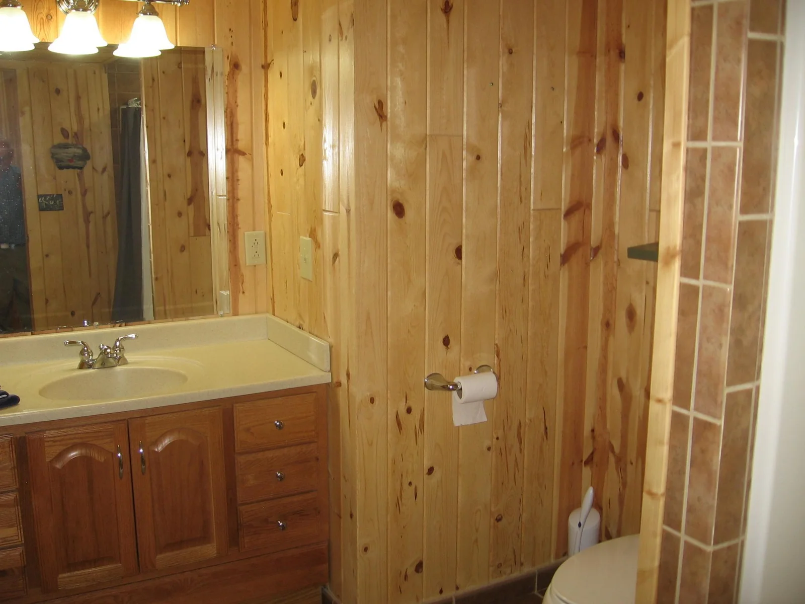 Lower Level Bathroom